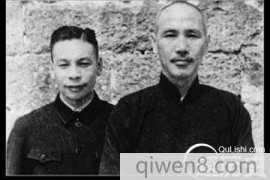 蒋介石到底有几个儿子 蒋家王朝为何后继无人？